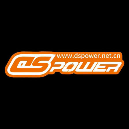 DS Power